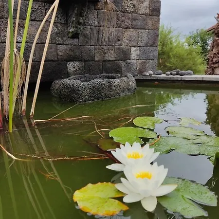 아파트 A Fonte Santo Antonio (Pico Island)
