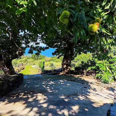 アパート A Fonte *