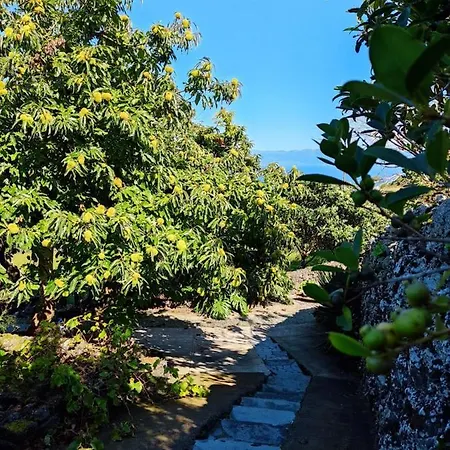 아파트 A Fonte Santo Antonio (Pico Island)