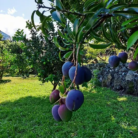 アパート A Fonte *